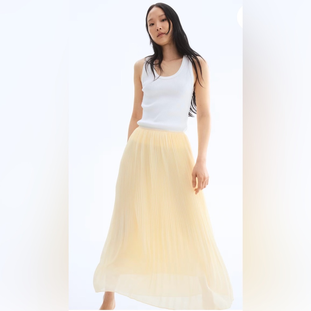NWT PLEATED CHIFFON SKIRT